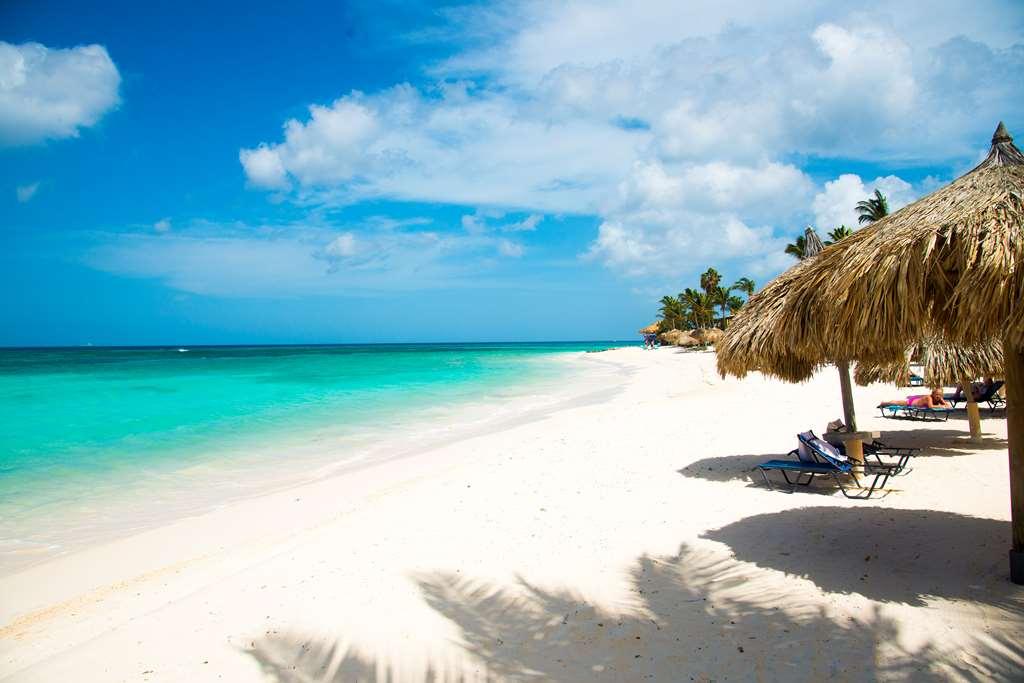 Divi Dutch Village Beach Resort Палм Бич Природа фото