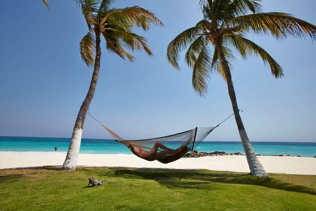 Divi Dutch Village Beach Resort Палм Бич Природа фото