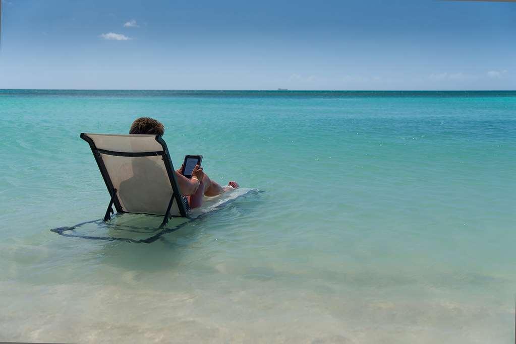 Divi Dutch Village Beach Resort Палм Бич Природа фото